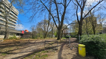 6c939724-20250331120707.jpg